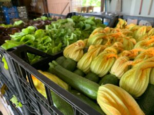Negozio frutta e verdura a Caorle