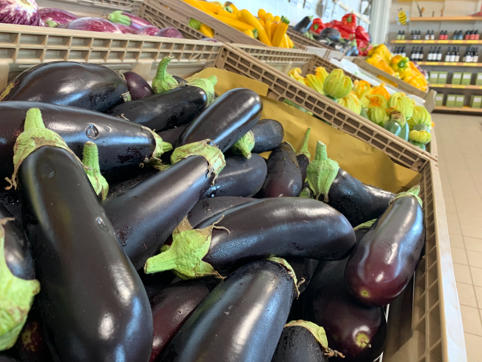 Produttori di frutta e verdura in Veneto