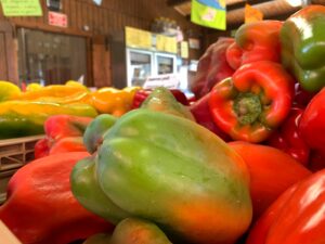 Fruttivendolo a Eraclea